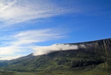 Trump, Climate Change, and the California Fires