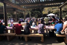Democrats Host Labor Day Picnic