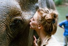 ‘Love and Bananas: An Elephant Story’