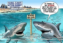 Studying Sustainability