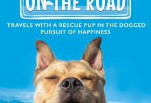 ‘Bodie on the Road’ is a Delightful Travel Guide