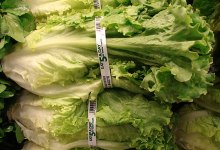 Adam Brothers Farm Identified in E. Coli Outbreak