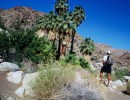 Close Escape: Joshua Tree National Park
