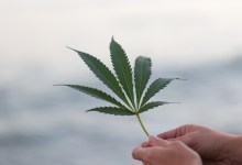 It’s Legal; Let’s Teach About It