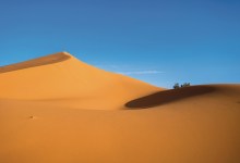 Greening the Sahara