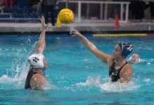 Women Rock at Wrestling, Water Polo, and More