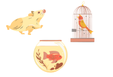 Evacuating Your Pets