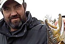 Joseph Mathew Petrich