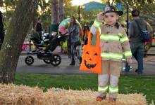 Boo at the Zoo