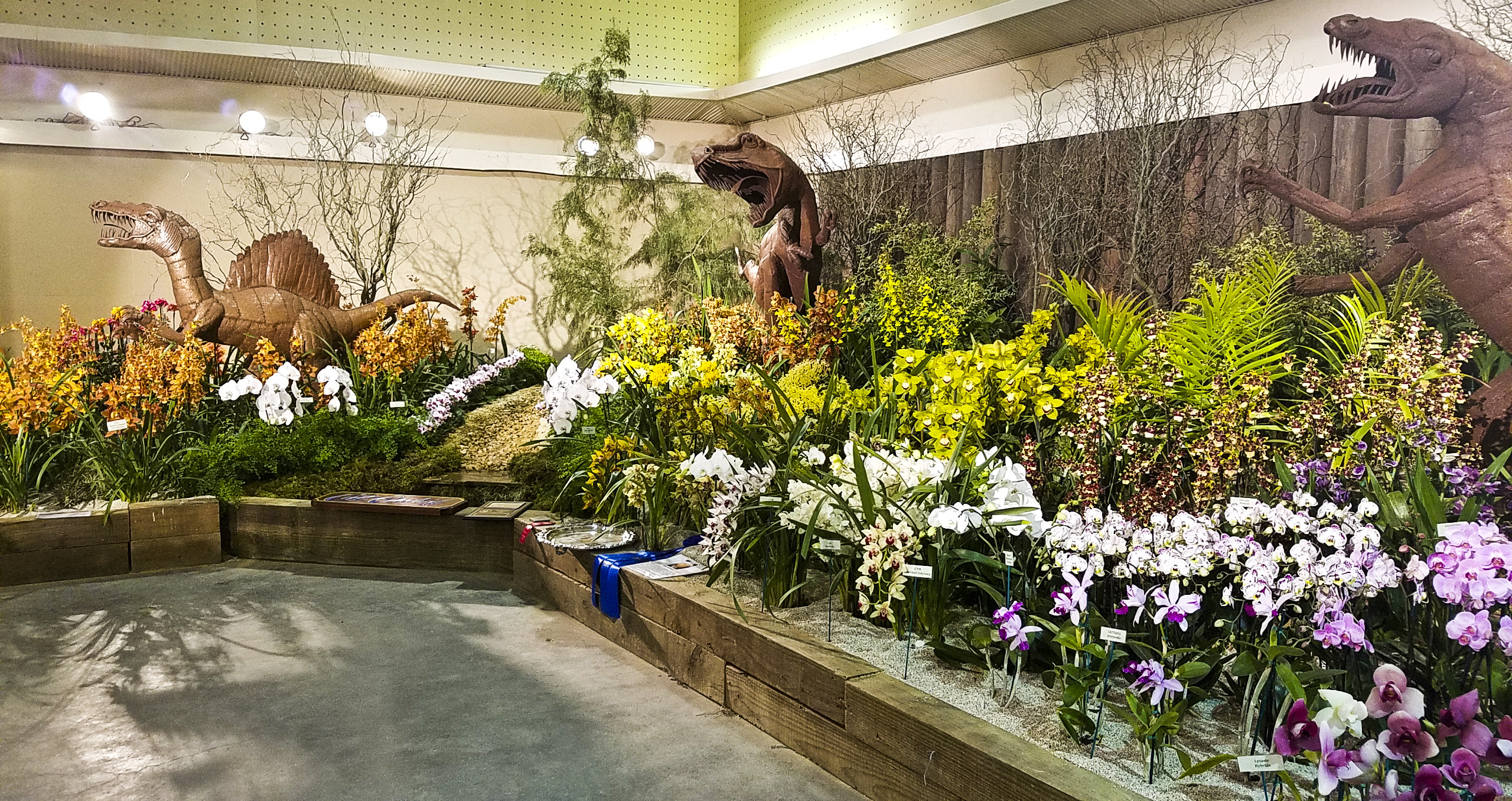 Santa Barbara International Orchid Show This Weekend The Santa