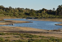 Restoring the Devereux Wetlands