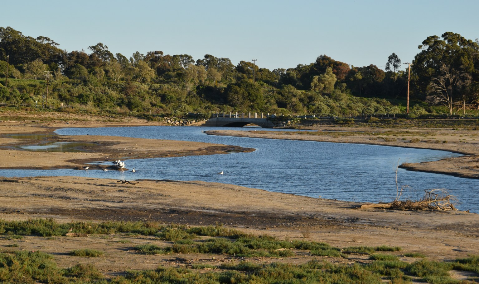 Restoring the Devereux Wetlands The Santa Barbara Independent