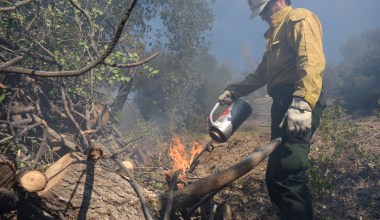 Figueroa Mountain Smokes in Controlled Burn