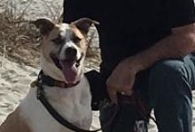 Jeffrey Allen Rubinstein