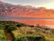 Lunch & Learn: Nature Photography Made Easy