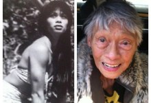 Shibie  McDowell