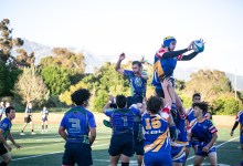 Stingrays Beat Kiwis in Rugby Showdown