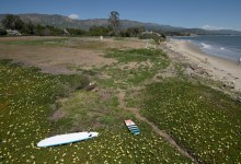 Hearing Set for Hammond’s Meadow