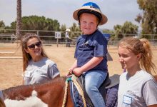 Hearts Therapeutic to Move Up the Hill