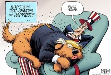 Pet Love: Out of Control
