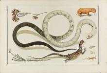 Strange Science Exhibit Opens