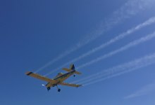 California Bans Pesticide Chlorpyrifos