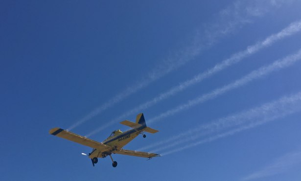 California Bans Pesticide Chlorpyrifos