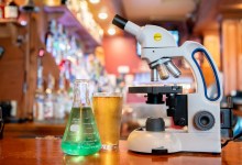 Science Pub: Harnessing Gut Microbes to Turn Waste into Energy