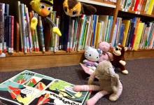 Stuffed Animal Sleepover at Goleta Valley Library