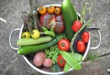 Victory Vegetable Gardening Classes for TRUE Beginners