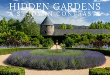 “Hidden Gardens: A Study in Contrasts”