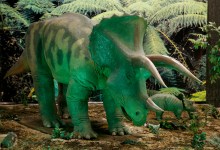 Prehistoric Forest Exhibit Opening