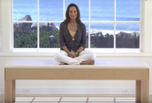 Widow’s Ponzi Scheme Companies Ordered to Pay $700,000