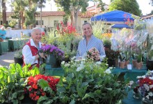 Carpinteria Museum Marketplace & Annual Plant & Flower Sale