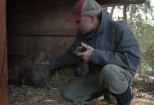 ‘The Biggest Little Farm’ Inspires
