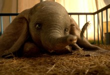 Free Films at the Goleta Valley Library