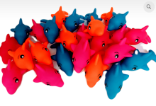 Dolphin Dive – Community Fund Raiser