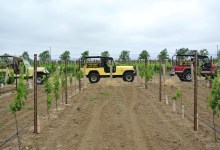 Jeep Thrills in Santa Barbara Wine Country