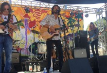 David Segall Band at Summer Solstice Festival