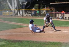 Foresters Get Back on Track