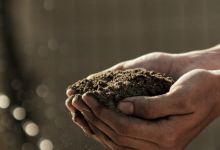 Are Healthy Soils Our Salvation?