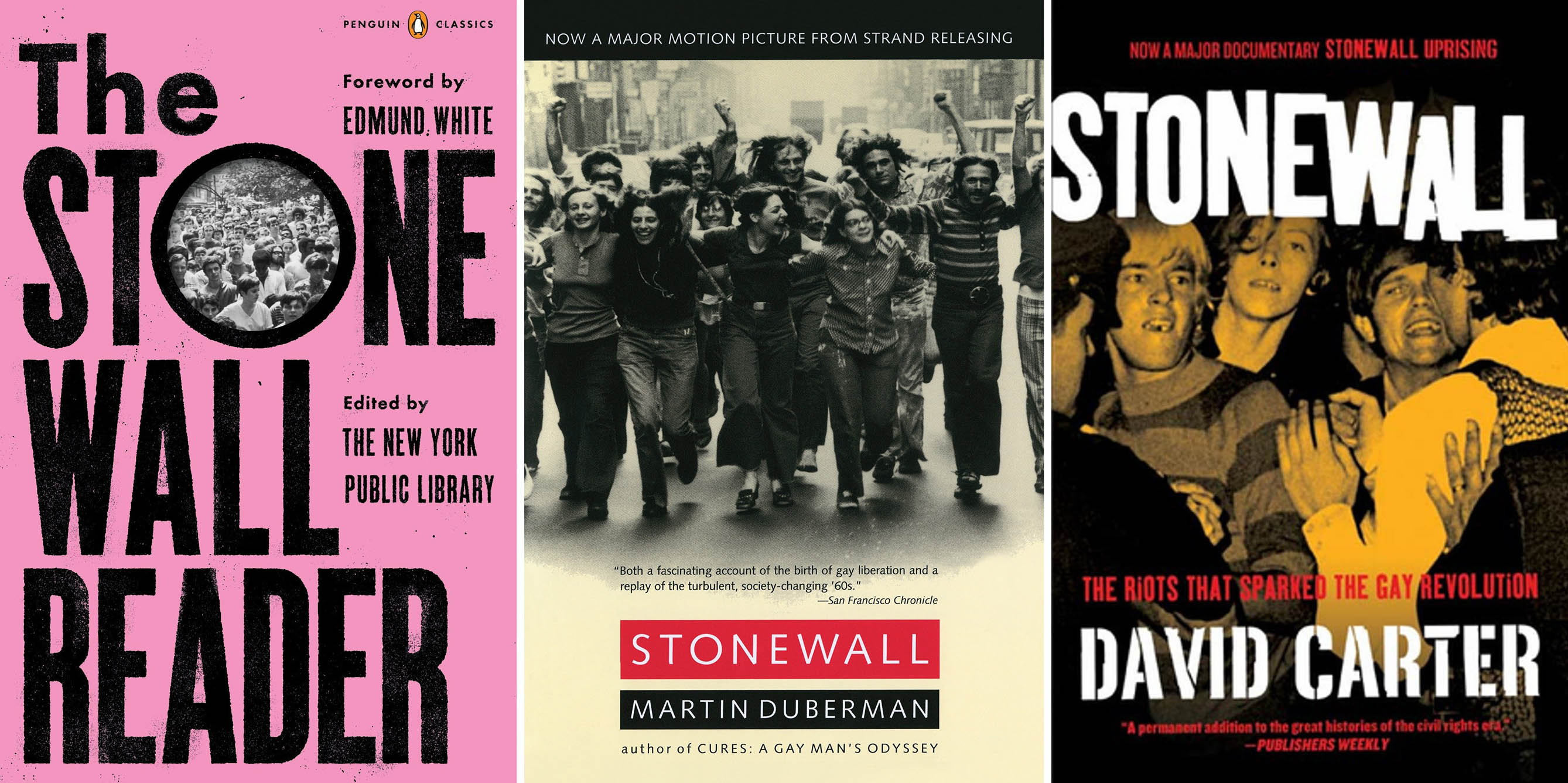David carter stonewall the riots that sparked the gay revolution Stonewall Riots Reading The Santa Barbara Independent