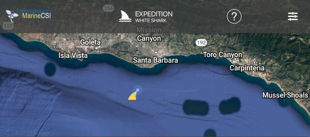 This App Lets You Track Tagged Sharks - The Santa Barbara Independent