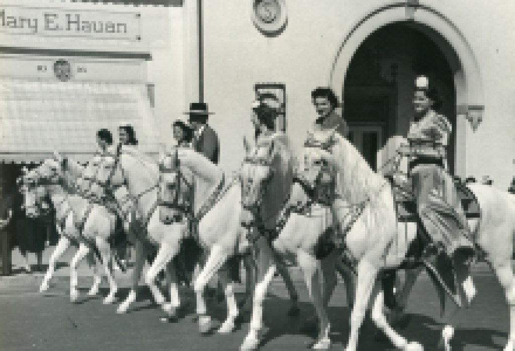 Fiesta Photos and Memories