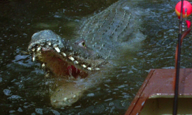 ‘Crawl’: Sad Turgid Swamp Gator Epic