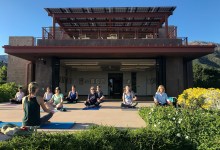 Slow Flow Yoga in the Garden