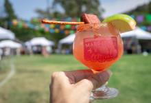 Margaritas Y Más Festival