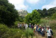 Arroyo Hondo Preserve Herb Walk & Native Plant Sale