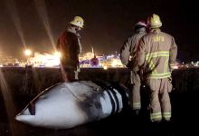 Crash-Landed C-130 Closed Santa Barbara Airport, Open Again
