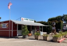 Lane Farms Produce Produce Stand 80th Anniversary!